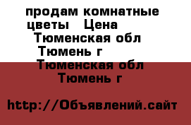 продам комнатные цветы › Цена ­ 500 - Тюменская обл., Тюмень г.  »    . Тюменская обл.,Тюмень г.